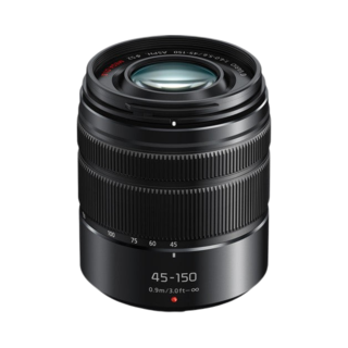 panasonic lumix 100-300mm f/4.0-5.6 ii